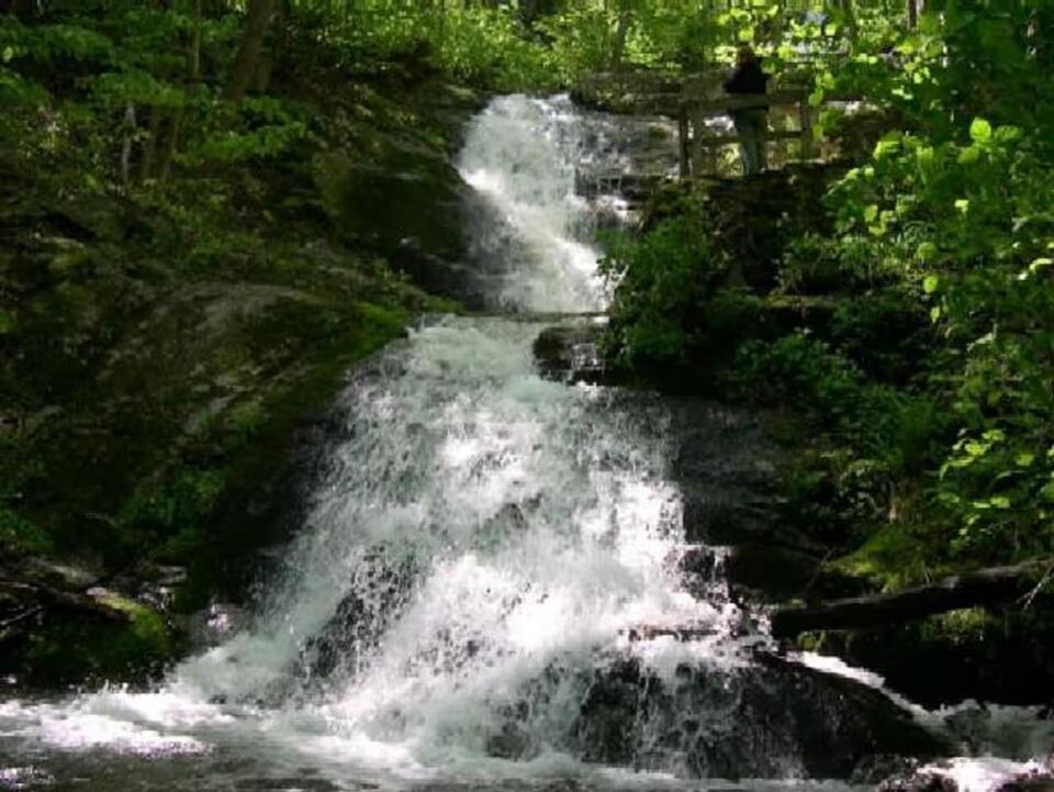 Virginia Woman Dies After 150-Foot Fall At Crabtree Falls On Memorial ...