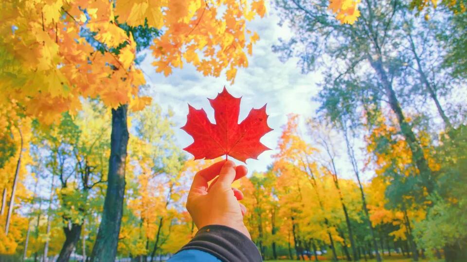 Unseasonably warm, dry weather sticks around through the weekend ...