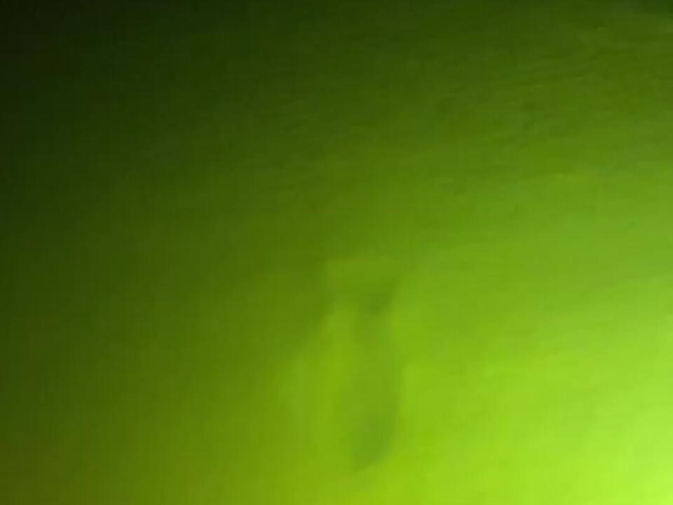 Perfect stick! Flounder Florida Floridian Gig Gigging Fishing 