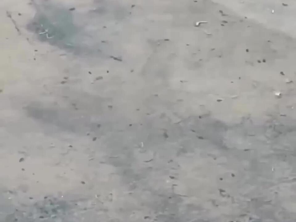 You won’t be able to guess what happens next! Florida Wholesome 