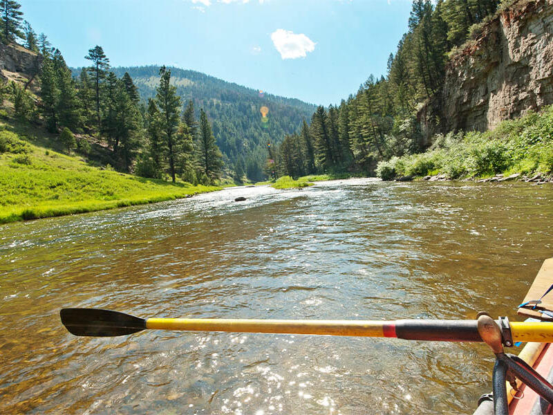 FWP: Otter attacks three women