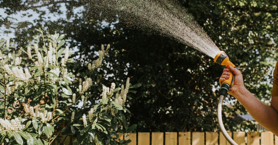 A hosepipe ban is coming here's what you need to know about watering