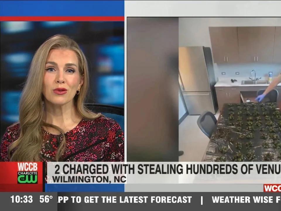 2 Accused Of Stealing 600 Venus Fly Trap Plants