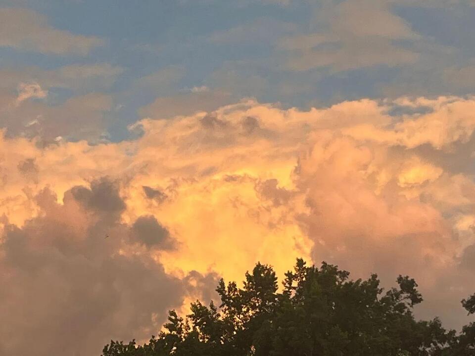 The Weather Authority: Hot and humid with scattered showers and storms