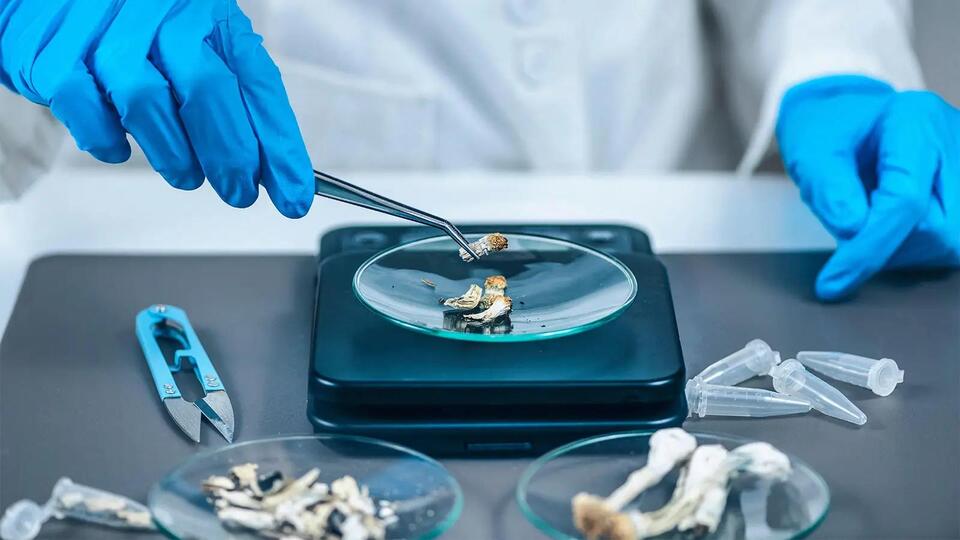 Psilocybin Tied to Lower Inflammation in Parkinson's Trial - NewsBreak