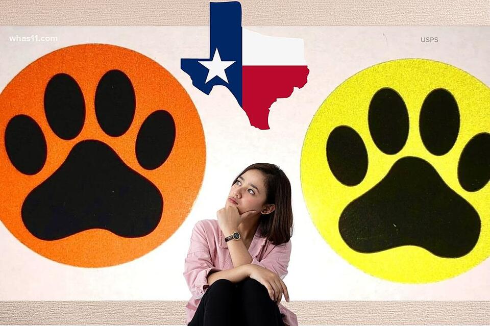 If You See A House In Texas With A Paw Print Sticker, Best Keep Moving ...