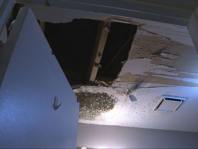 Fairview tenants demand answers over troubling living conditions