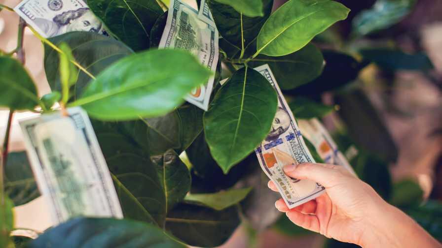Tap Into the Benefits of Strategic Financing for Your Farm