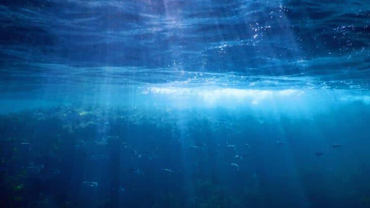 Deep-Sea Creatures Use This Bizarre Trait to Evade Predators