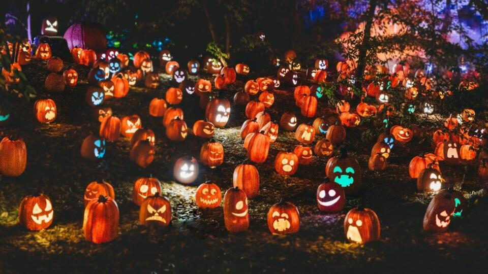 A Rainy Halloween Weekend Doesn’t Have to Mean Canceling the Fun—Six ...