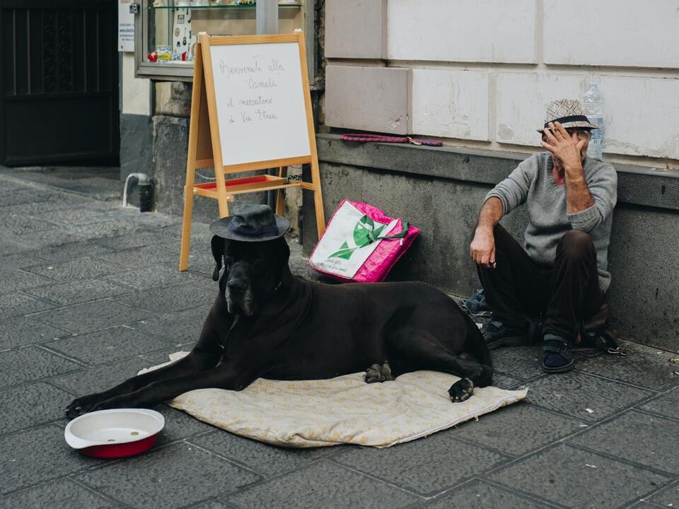 Opinion Pets brighten lives of people experiencing homelessness