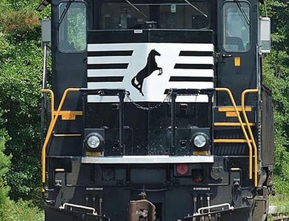Pedestrian Struck, Killed By Norfolk Southern Train On Bridge In ...