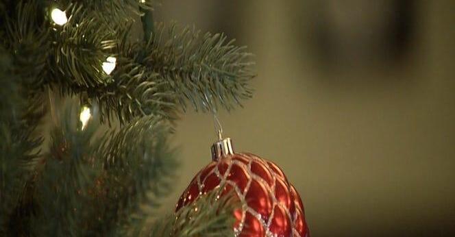 Meadville Trees Of Christmas 2022 Tri-County To Begin Christmas Tree Pickup In Meadville - Newsbreak