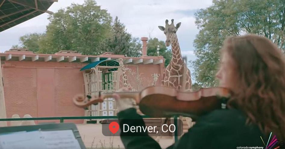 WATCH Denver Zoo Animals Vibe Out With the Colorado